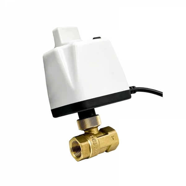 Normally Closed Motorized Ball Valve 220V 12V 24V 2-Wire Brass Electric Ball Valve Witch Switch